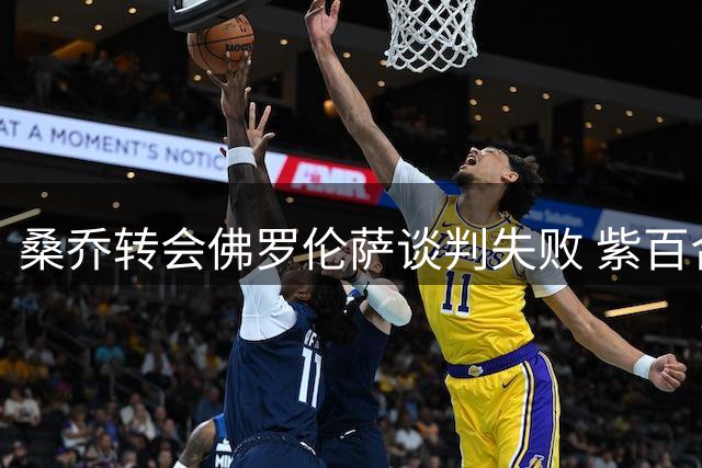 桑乔转会佛罗伦萨谈判失败 紫百合拒绝免签提议